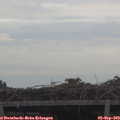 10_00-mast.jpg