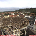 10_05-nest.jpg
