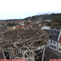 10_15-nest.jpg