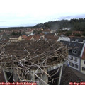 10_20-nest.jpg