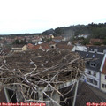 10_25-nest.jpg
