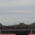 10_35-mast.jpg