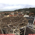 10_35-nest.jpg