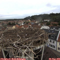 10_40-nest.jpg