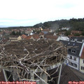 10_50-nest.jpg