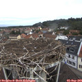 10_55-nest.jpg