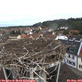 11_05-nest.jpg