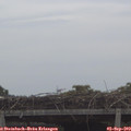 11_10-mast.jpg