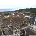11_10-nest.jpg