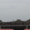 11_20-mast.jpg