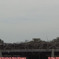 11_30-mast.jpg