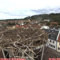 11_30-nest.jpg