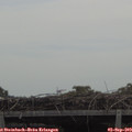 11_35-mast.jpg