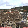 11_35-nest.jpg