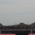 11_40-mast.jpg