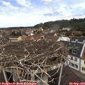 11_40-nest.jpg