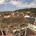 11_55-nest.jpg