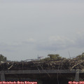 12_05-mast.jpg