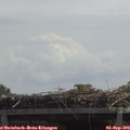 12_15-mast.jpg