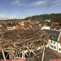 12_15-nest.jpg