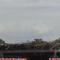 12_20-mast.jpg
