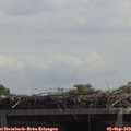12_25-mast.jpg