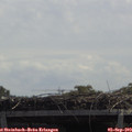 12_30-mast.jpg