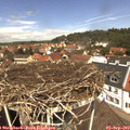 12_30-nest.jpg