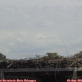 12_35-mast.jpg