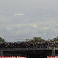 12_40-mast.jpg