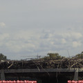 12_45-mast.jpg