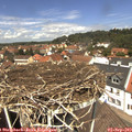 12_45-nest.jpg
