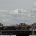 12_50-mast.jpg