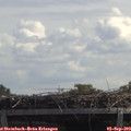 12_55-mast.jpg