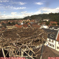 12_55-nest.jpg