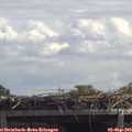 13_00-mast.jpg