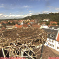 13_00-nest.jpg