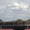 13_05-mast.jpg