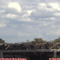 13_10-mast.jpg