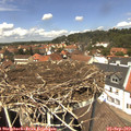 13_10-nest.jpg