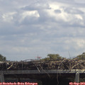 13_15-mast.jpg