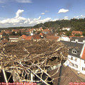 13_15-nest.jpg