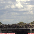 13_20-mast.jpg