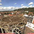 13_20-nest.jpg