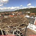 13_25-nest.jpg