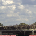 13_30-mast.jpg