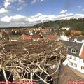 13_30-nest.jpg