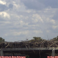 13_35-mast.jpg