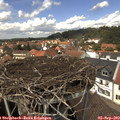 13_35-nest.jpg
