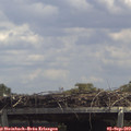 13_40-mast.jpg